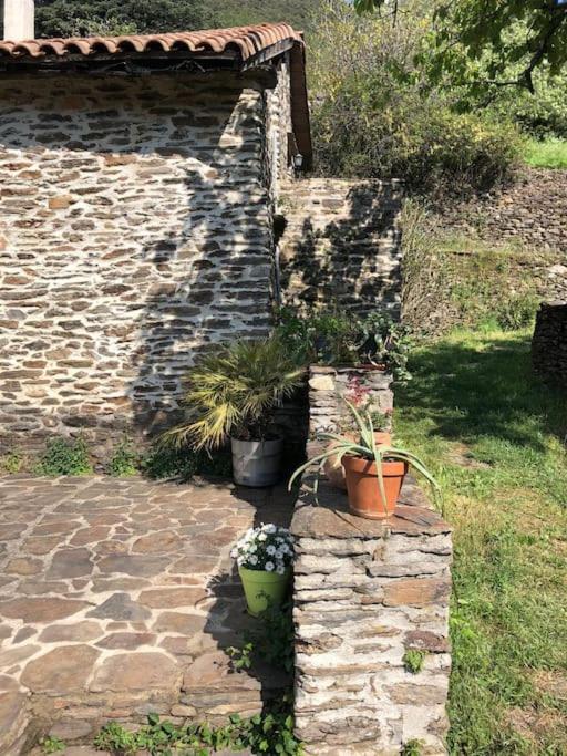 Maison Rurale Au Coeur Des Cevennes Ardechoises Dompnac Exteriér fotografie
